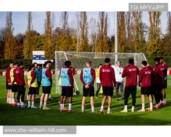 德国与瑞士的较量历史与现状分析探讨两国足球文化的异同